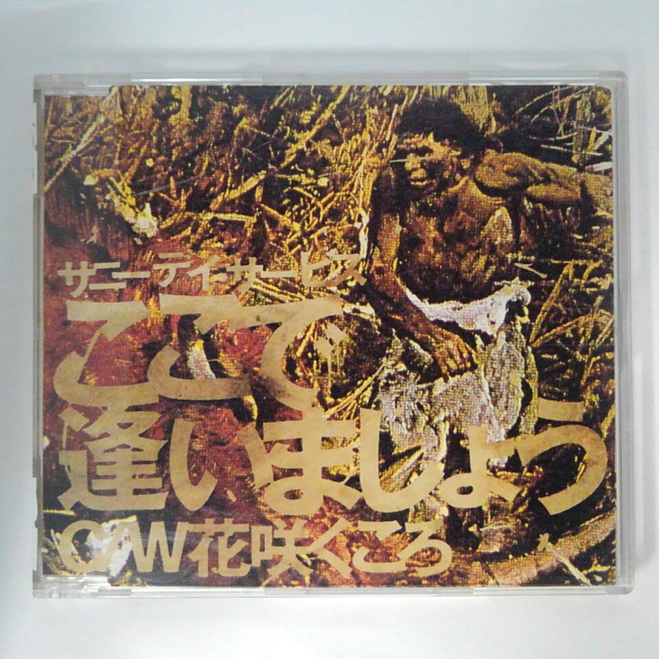 ZC13547【中古】【CD】ここで逢いましょう/サニーデイ・サービス