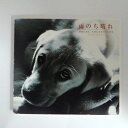 ZC14052【中古】【CD】オルゴール・コレクション雨のち晴れ