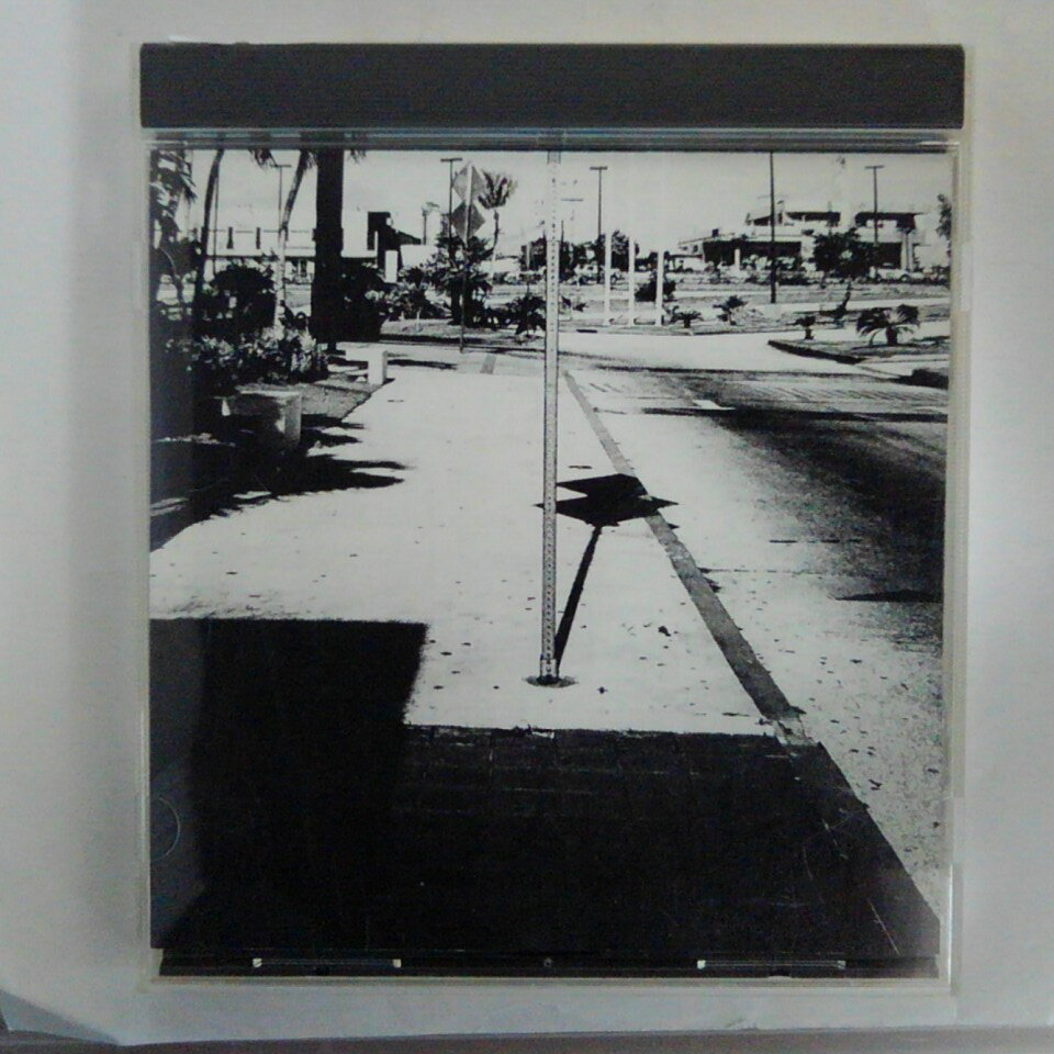 ZC14705����šۡ�CD�ۥ���꡼ ����꡼ �������꡼/BUMP OF CHICKEN