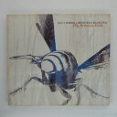 ZC15256yÁzyCDzFly Between Falls/ALO(ANIMAL LIBERERATION ORCHESTRA)(A)