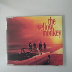 ZC17127【中古】【CD】聖なる海とサンシャイン/the yellow monkey