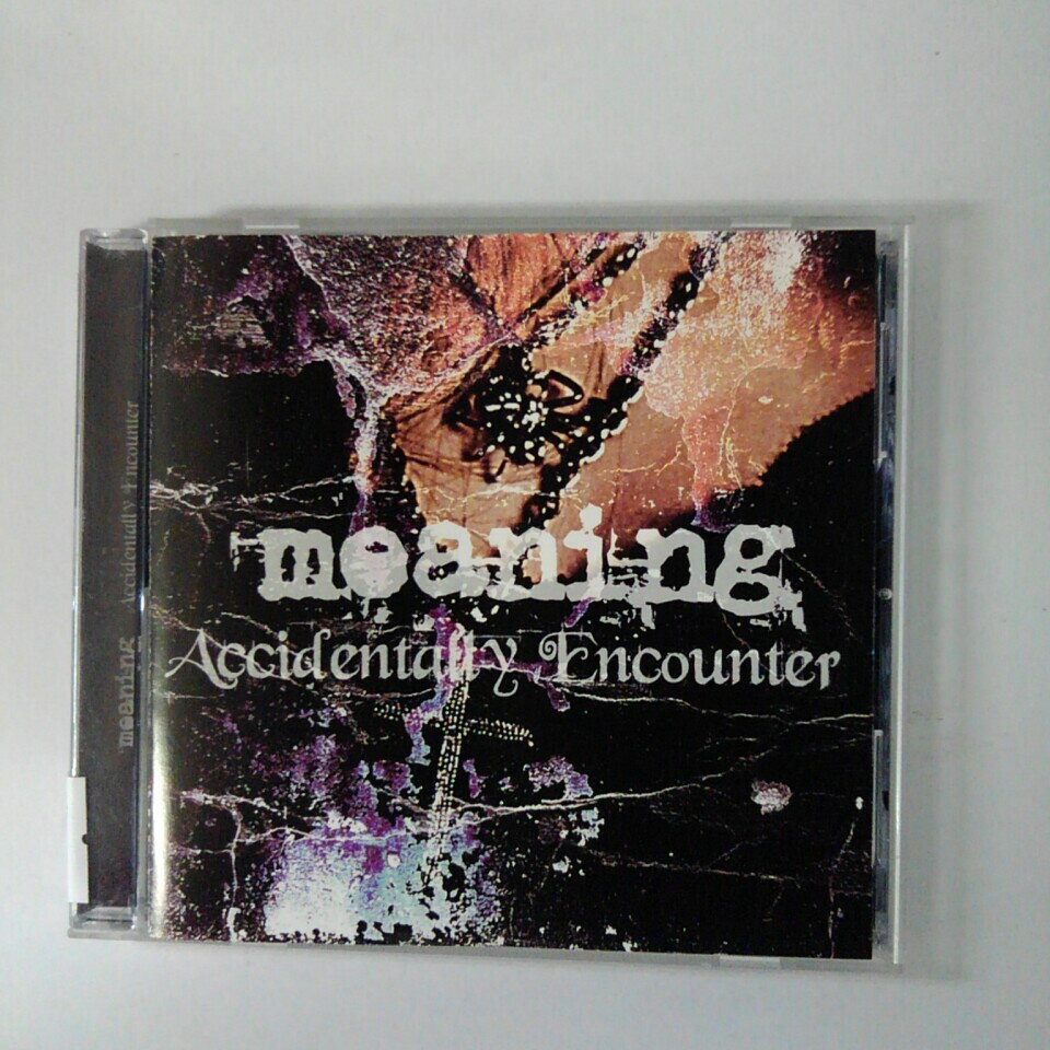 ϥåԡӥǥ㤨ZC18355šۡCDMeaning/Accidentally EncounterפβǤʤ250ߤˤʤޤ