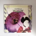 ZC20119【中古】【CD】umbrella/ASPARAGUS