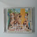 ZC20607【中古】【CD】ラブラドール・レトリバー/AKB48(DVD付き)(TYPE-B)