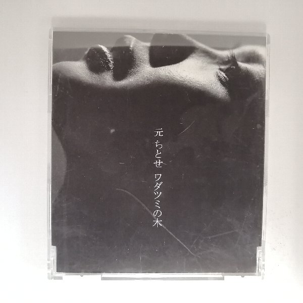 ZC20848【中古】【CD】ワダツミの木/元ちとせ