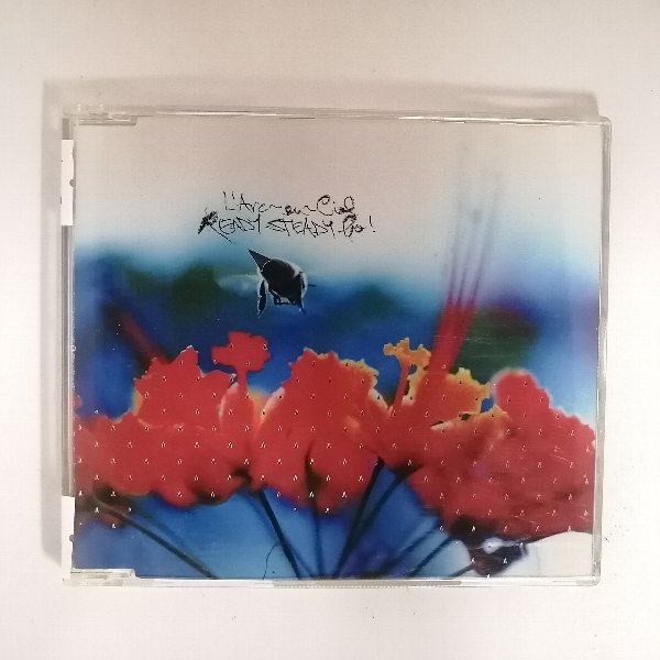 ZC21055šۡCDREADY STEADY GO/L'Arcenciel