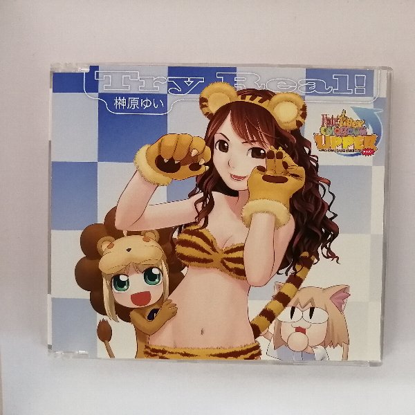 【収録曲】 　【01】Try Real ! full.ver. 　【02】Try Real ! offvocal ver. 　【03】Try Real ! fate on fake mix / Sampling Masters MEGA 　　含む全3曲収録 ★　必ずお読みください　★ -------------------------------------------------------- 【送料について】 　　●　1商品につき送料：300円 　　●　商品代金10,000円以上で送料無料 　　●　商品の個数により、ゆうメール、佐川急便、ヤマト運輸 　　　　ゆうパックのいずれかで発送いたします。 　　当社指定の配送となります。 　　配送業者の指定は承っておりません。 -------------------------------------------------------- 【商品について】 　　●　VHS、DVD、CD、本はレンタル落ちの中古品で 　　　　ございます。 　　 　　 　　●　ケース・ジャケット・テープ本体に 　　　　レンタルスタンプやバーコードシール等が 　　　　貼ってある場合があります。 　　　　クリーニングを行いますが、汚れ・シール・若干のキズ等が 　　　　残る場合がございます。 　　●　映像・音声チェックは行っておりませんので、 　　　　神経質な方のご購入はお控えください。 --------------------------------------------------------