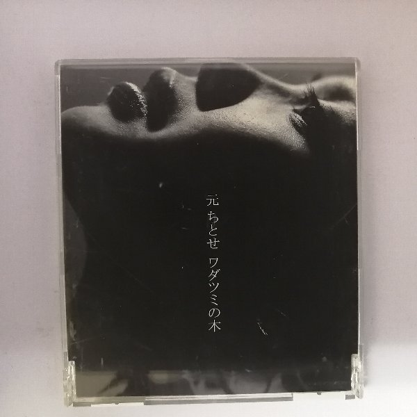 楽天市場】元ちとせ ワダツミの木（CD・DVD）の通販