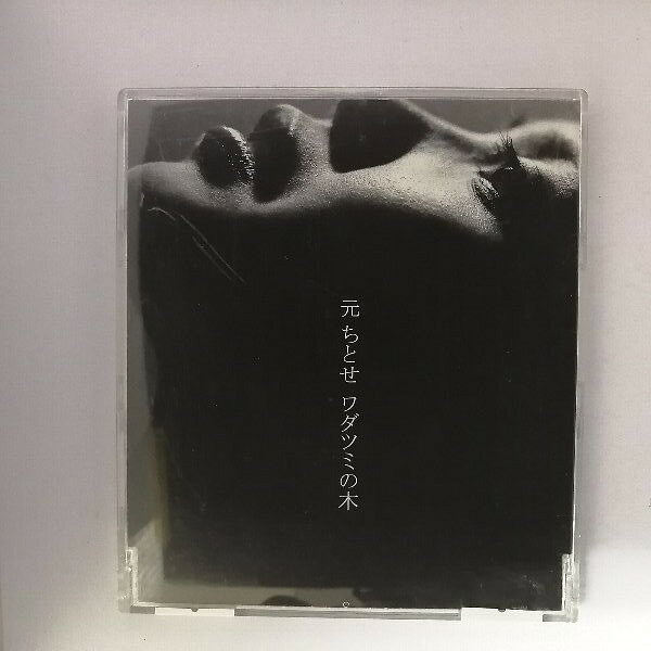 楽天市場】元ちとせ ワダツミの木（CD・DVD）の通販