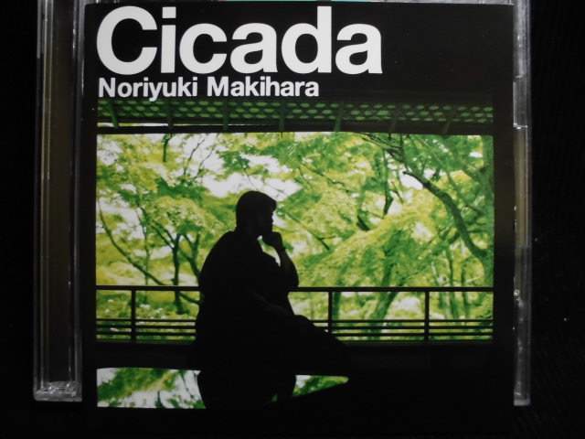 ZC41468【中古】【CD】Cicada/槇原敬之