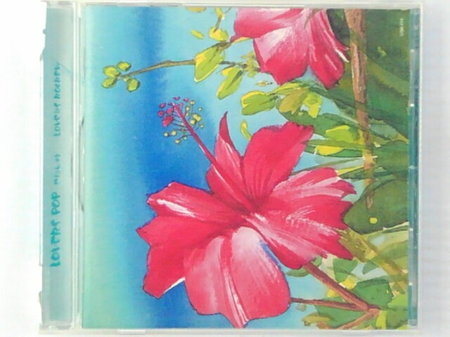 ZC60461šۡCDLOVERS POP Flower/LOVERS ROCREW