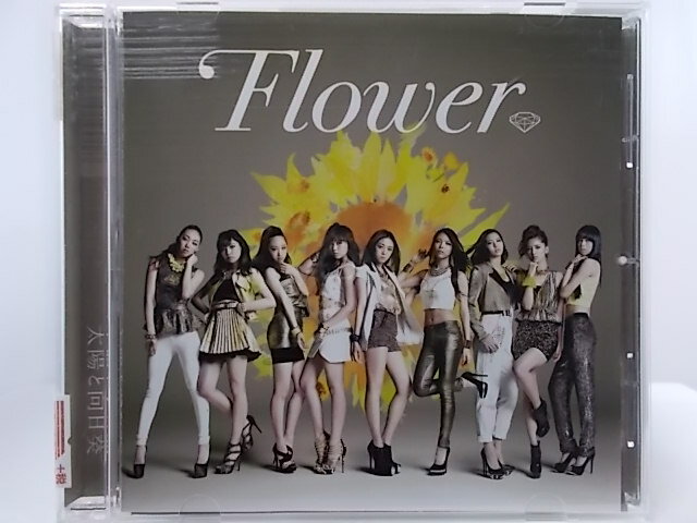 ZC62442šۡCDۤȸ/Flower