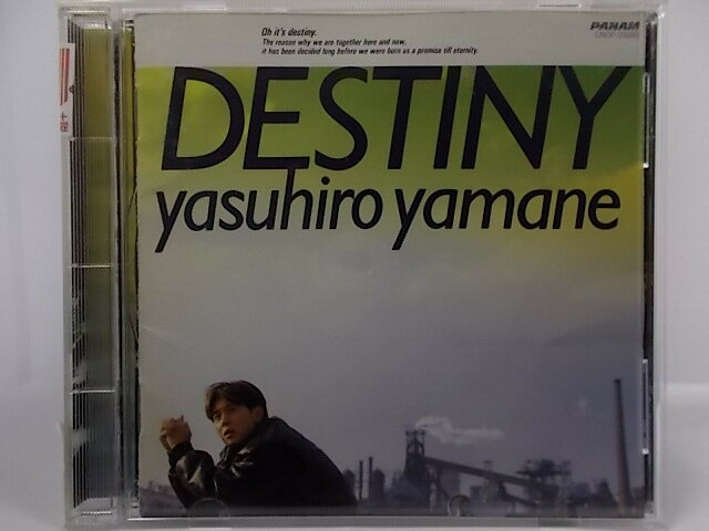 ZC64314【中古】【CD】DESTINY-夢を追いかけて-／山根康広