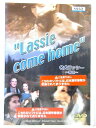 ZD00012【中古】【DVD】名犬ラッシー 〜家路〜(日本語吹替なし)