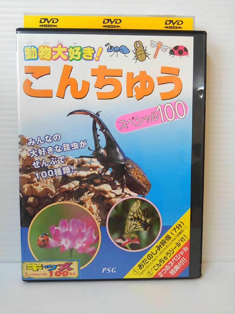 ZD04896【中古】【DVD】動物大好き！こんちゅう　スペシャル100