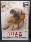 ZD01551【中古】【DVD】ウリざる