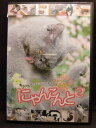 ZD20008【中古】【DVD】にゃんこんと 2