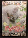 ZD20008【中古】【DVD】にゃんこんと　2