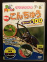 ZD20437【中古】【DVD】動物大好き! ハイビジョンNEW こんちゅう スペシャル100
