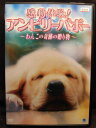 ZD21329【中古】【DVD】感動体験!アンビリーバボー〜わんこの奇跡の贈り物〜