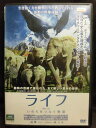 ZD22101【中古】【DVD】ライフ いのちをつなぐ物語