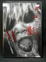 ZD02427【中古】【DVD】本当の心霊動画「影」恐怖映像11発