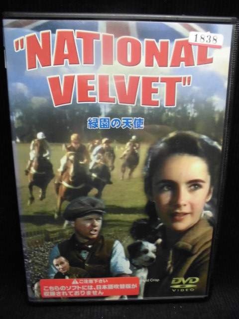 zd32467šۡDVDбŷȡNATIONAL VELVETܸ᤭ؤʤ