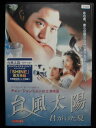 ZD33021【中古】【DVD】台風太陽 君がいた夏(日本語吹き替えなし)