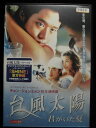 ZD33023【中古】【DVD】台風太陽 君がいた夏(日本語吹替なし)