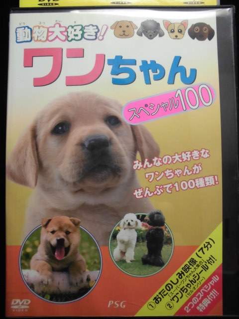 ZD33773【中古】【DVD】動物大好き！ワンちゃんスペシャル100