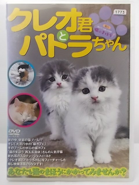 ZD36194【中古】【DVD】クレオ君とパトラちゃんあなたも猫のまほうにかかってみませんか？