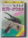 ZD40831【中古】【DVD】動物大好き!カブト・クワガタ スペシャル