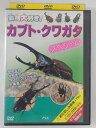 ZD40831【中古】【DVD】動物大好き！カブト・クワガタ　スペシャル