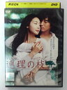 ZD41609【中古】【DVD】連理の枝(れんりのえだ)
