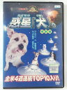 ZD42820【中古】【DVD】惑星『犬』。特別編