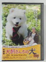 ZD46495【中古】【DVD】映画版 犬飼さんちの犬