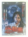 ZD47759【中古】【DVD】恐い動画投稿&心霊地帯スペシャル