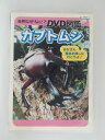 ZD51323【中古】【DVD】自然なぜなに?DVD図鑑カブトムシ