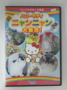 ZD52569【中古】【DVD】ハローキティ ニャンニャン大集合!