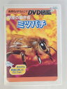 ZD52882【中古】【DVD】自然なになに?DVD図鑑野原の働き者「ミツバチ」