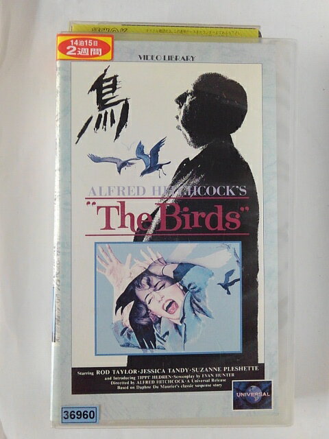 ZV02166šۡVHSĻThe Birdsڻ륹ѡǡ