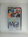 ZV02633【中古】【VHS】迷犬 サムソン&ヘラクレスの大冒険【日本語吹替版】