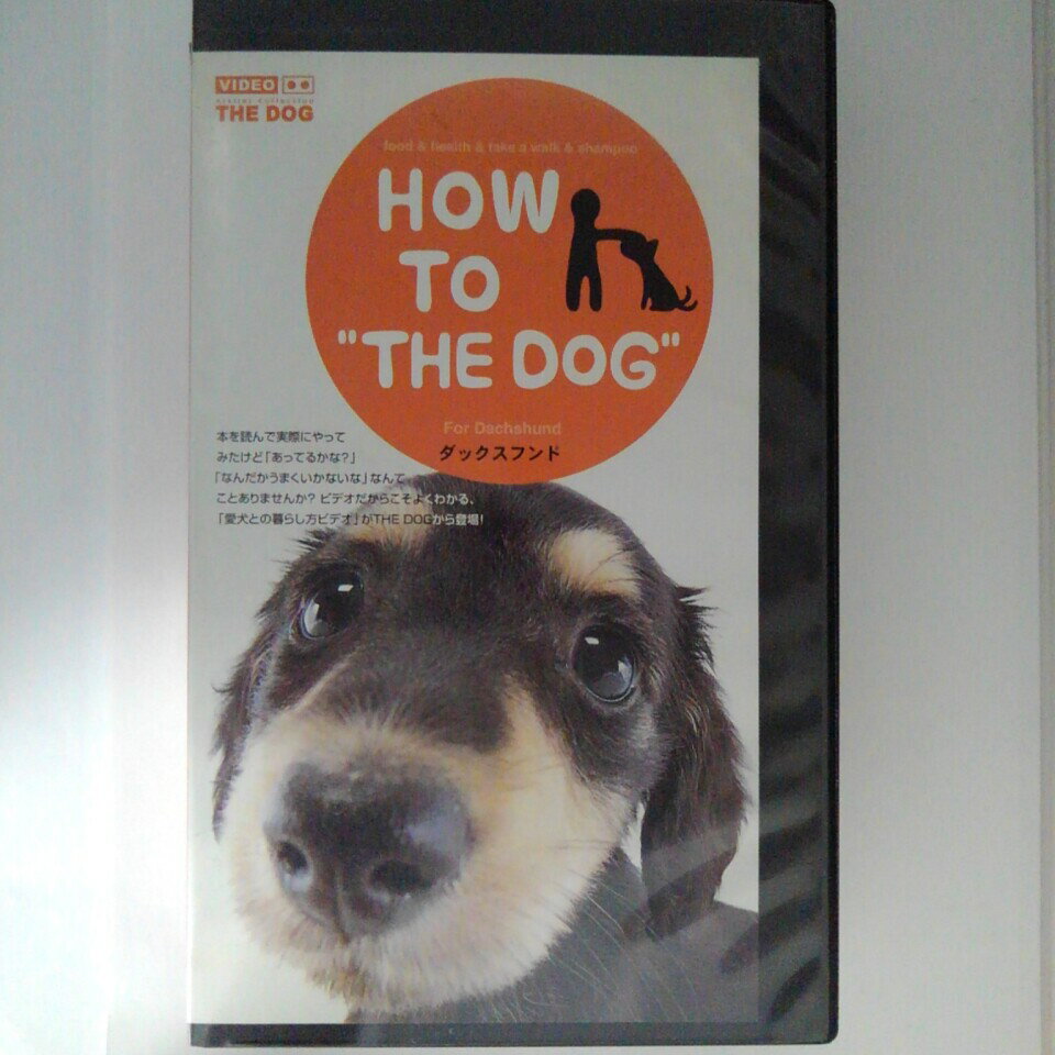 ZV03130【中古】【VHS】HOW TO ‘’THE DOG‘’ダックスフンド