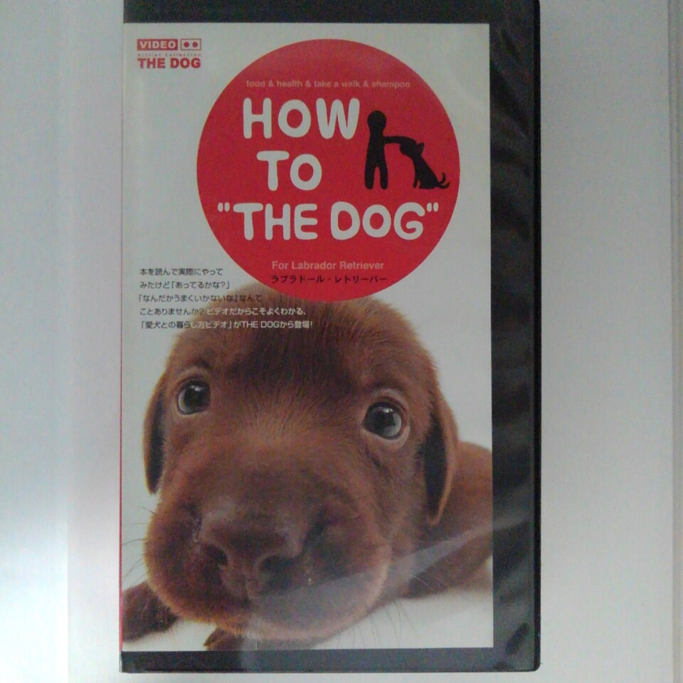 ZV03131【中古】【VHS】HOW TO "THE DOG"ラブラドール・レトリバー