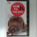 ZV03131【中古】【VHS】HOW TO