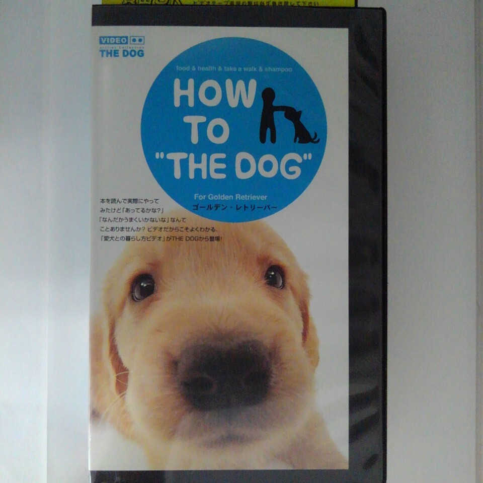 ZV03135【中古】【VHS】HOW TO "THE DOG"ゴールデン・レトリーバー