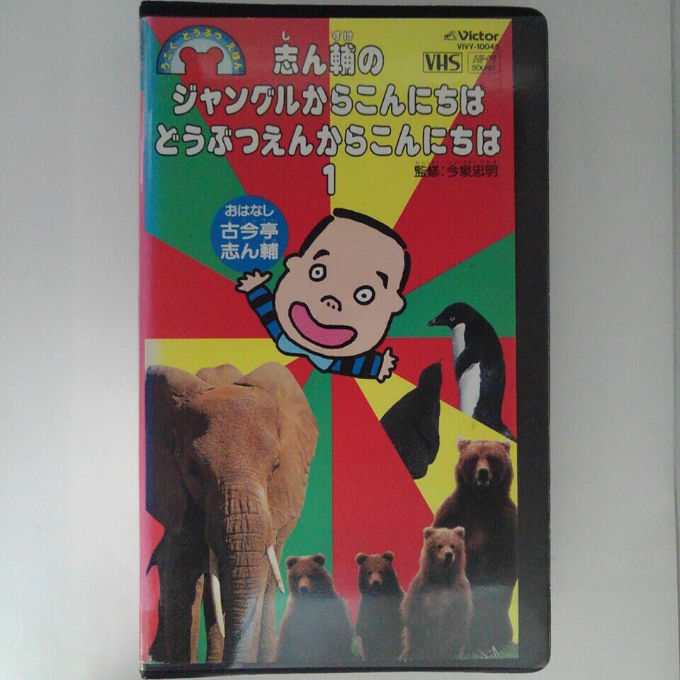 ZV03161【中古】【VHS】志ん輔のじゃんぐるからこんにちはどうぶつえんからこんにちは (1)