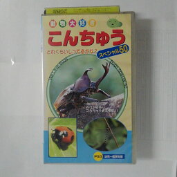 ZV03534【中古】【VHS】動物大好き こんちゅうスペシャル50