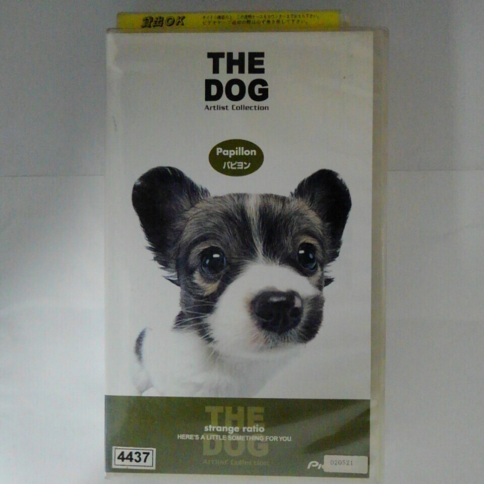 ZV03741【中古】【VHS】THE DOG Artlist Collectionパピヨン