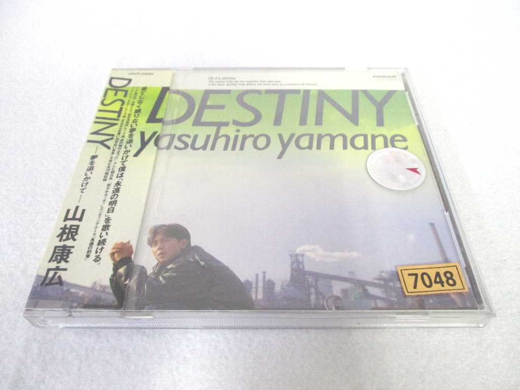 AC03426 【中古】 【CD】 DESTINY ─夢を追いかけて─/山根康広